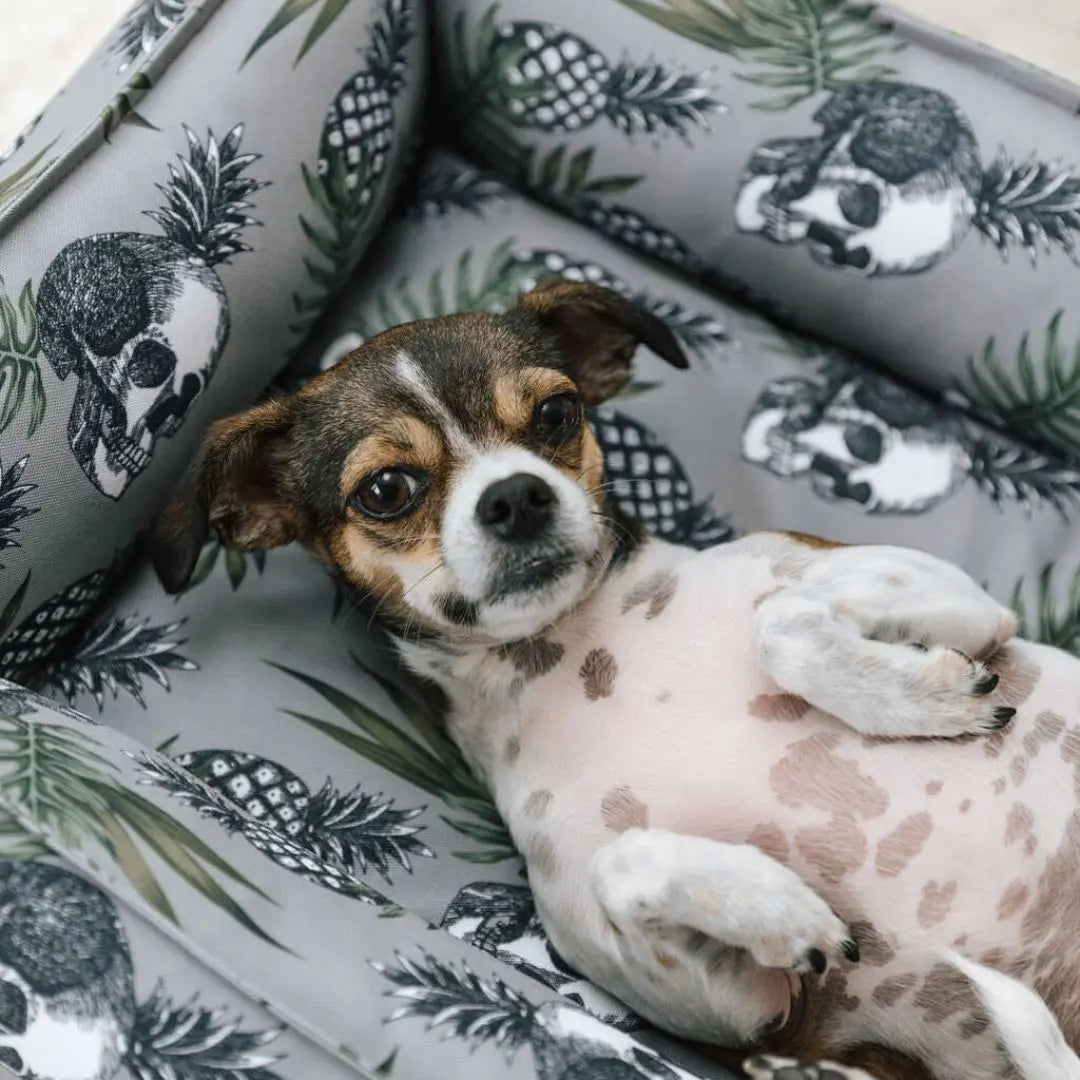 Wrendale sales dog bed