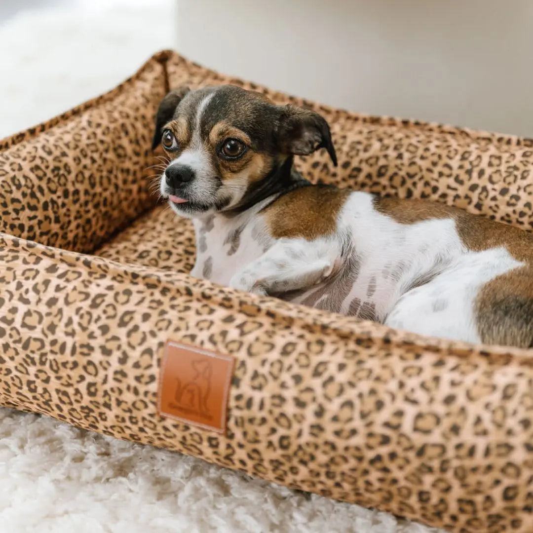 Canadian dog hot sale beds